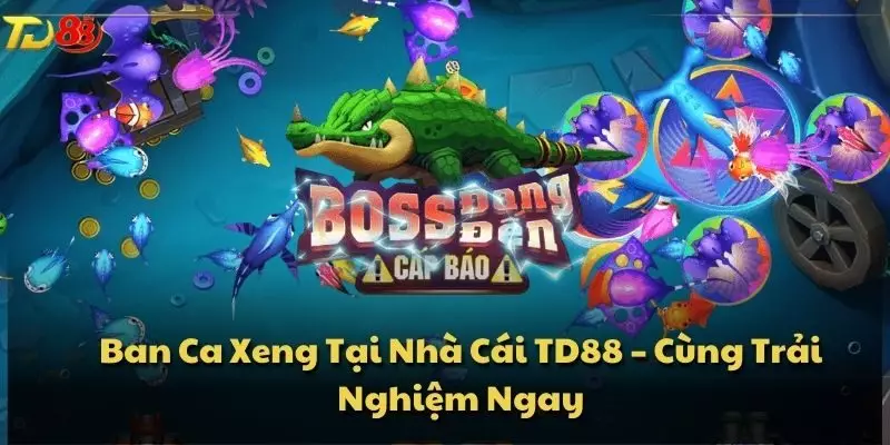 Ban Ca Xeng Tại Nhà Cái TD88 – Cùng Trải Nghiệm Ngay