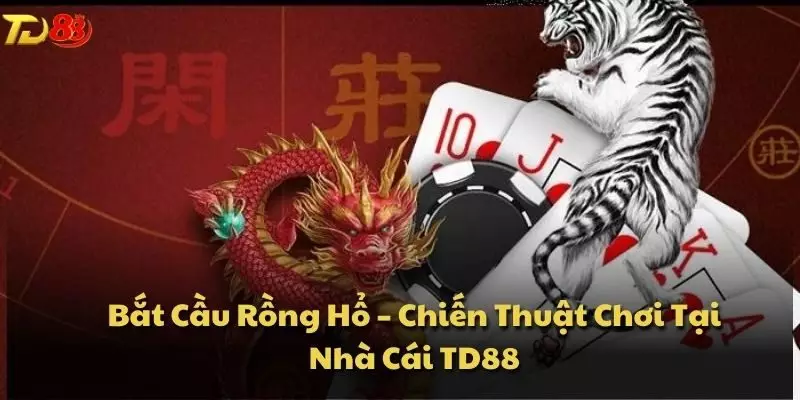 Bắt Cầu Rồng Hổ – Chiến Thuật Chơi Tại Nhà Cái TD88